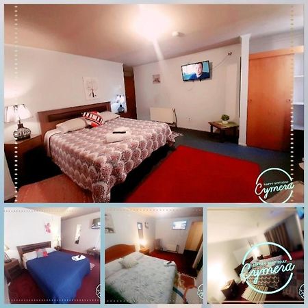 Patagonia Magica Apartment Punta Arenas Ngoại thất bức ảnh