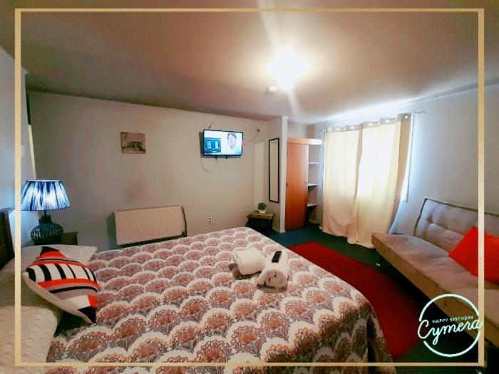 Patagonia Magica Apartment Punta Arenas Ngoại thất bức ảnh