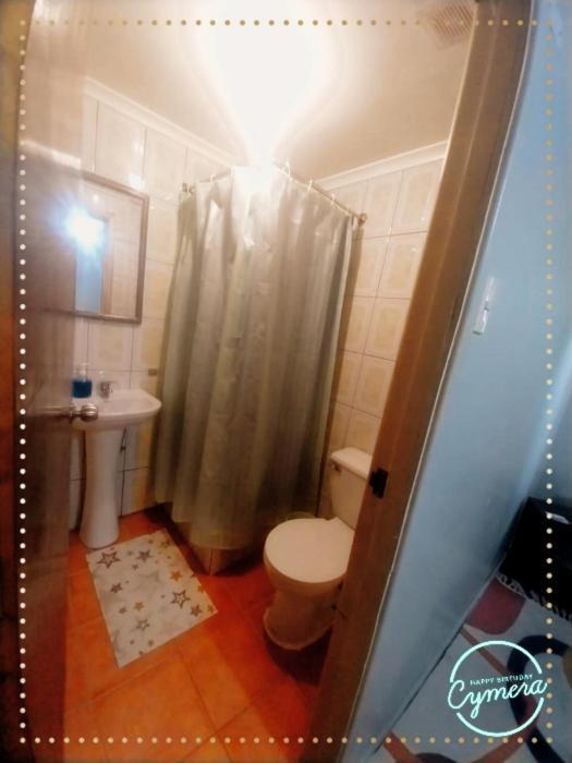 Patagonia Magica Apartment Punta Arenas Ngoại thất bức ảnh