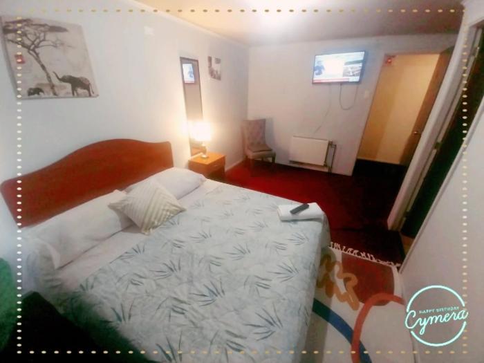 Patagonia Magica Apartment Punta Arenas Ngoại thất bức ảnh